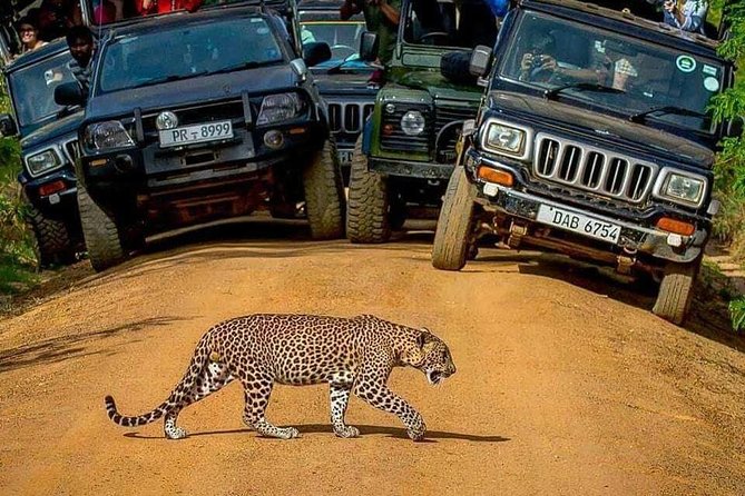 Sri Lanka private tour package 9 night 10 Day with driver+vehicle+accommodations - Ravana Ella Falls, then Yala National Park jeep safari