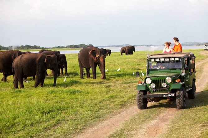Sri Lanka; Professional Chauffeur Guide With Modern Vehicles - Guides like Udara, Janaka, Nalin, and Heshan make the difference