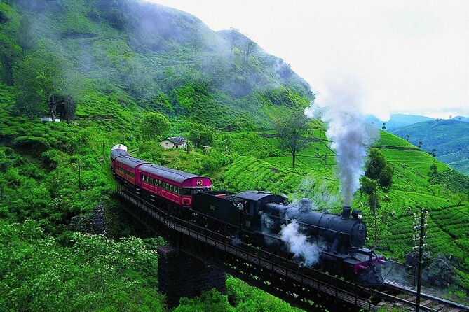 Sri Lanka; Professional Chauffeur Guide With Modern Vehicles - Modern, air-conditioned vehicles with GPS tracking