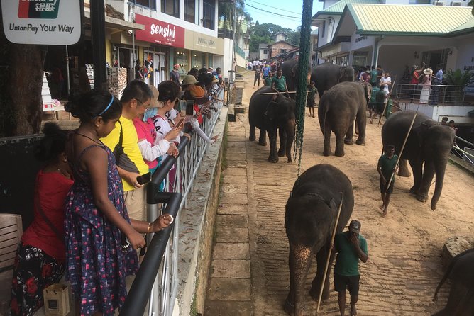Sri Lanka round tour - Key highlights that make this tour worth your time