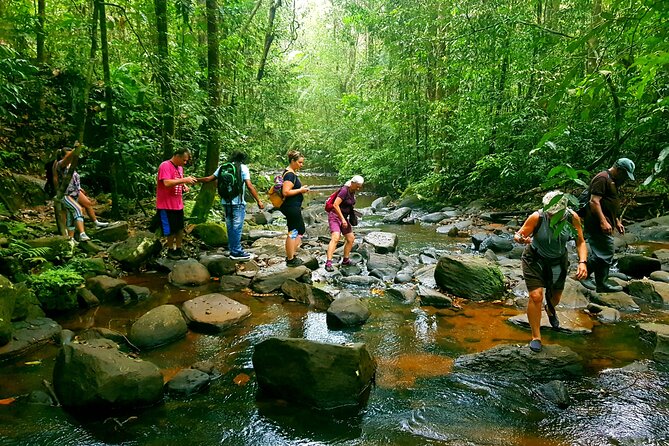 Sri Lanka Sinharaja Rain Forest Tour with Transport - Key highlights worth your attention