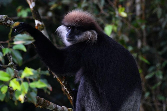Sri Lanka Sinharaja Rain Forest Tour with Transport - Hotel pickup and transport: Why “getting there” is part of the value