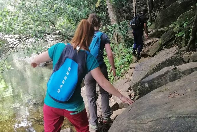 Sri Lanka Sinharaja Rain Forest Tour with Transport - Price and value: What $98 buys you (and what to watch for)