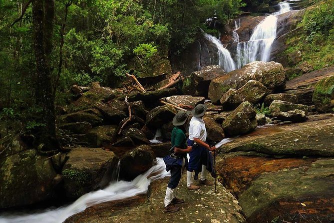 Sri Lanka Sinharaja Rain Forest Tour with Transport - The half-day plan inside Sinharaja: Birds, trails, and those waterfall pauses
