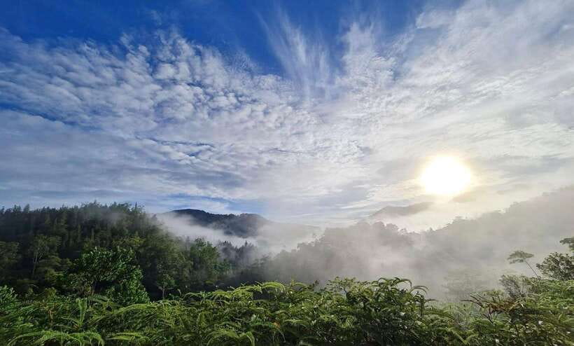 Sri Lanka : Sinharaja Rainforest Guided Trek with Pickup - Key things to know before you go