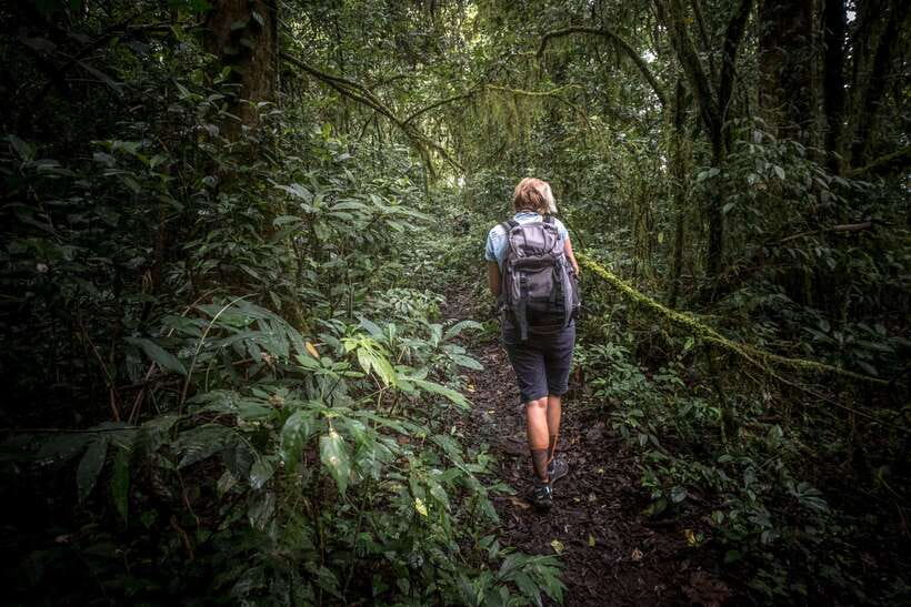 Sri Lanka: Sinharaja rainforest tour from Colombo, Bentota - Key points before you go
