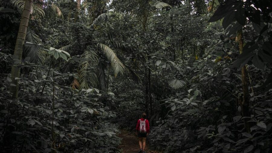 Sri Lanka: Sinharaja rainforest tour from Colombo, Bentota - Waterfalls along the way: close enough to feel the spray