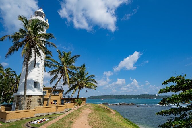 Sri Lanka tour 8 Days with a private driver, hotels, and vehicle - The Kandy to Ella train: your best “rest while moving” block