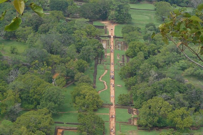 Sri Lanka Tour in 8 Days - Yala National Park: Leopard Odds, Leopard Etiquette, and the Safari Setup