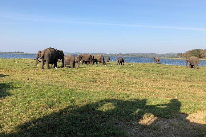 Sri Lanka Tour in 8 Days - Mirissa Beach Day: Reset Time Without Losing the Plot