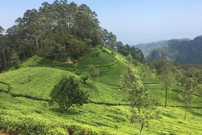 Sri Lanka Tour in 8 Days - What the $539 Covers, and What You Should Budget on Top