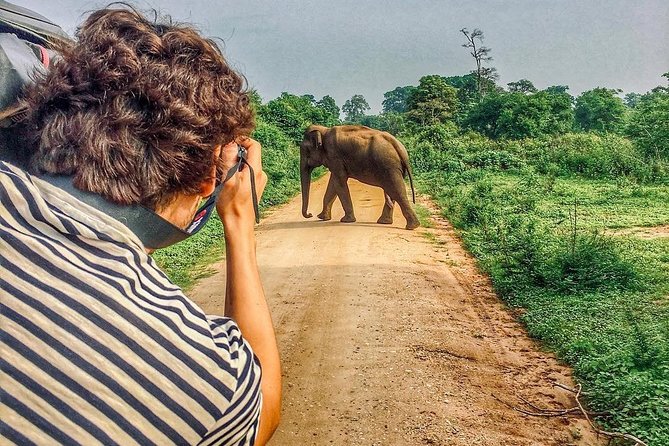 Sri Lanka tour itinerary . 6N/7D with driver, vehicle and H/B accommodations - Day 1: Colombo pickup to Sigiriya, with Lion Rock as your first big moment