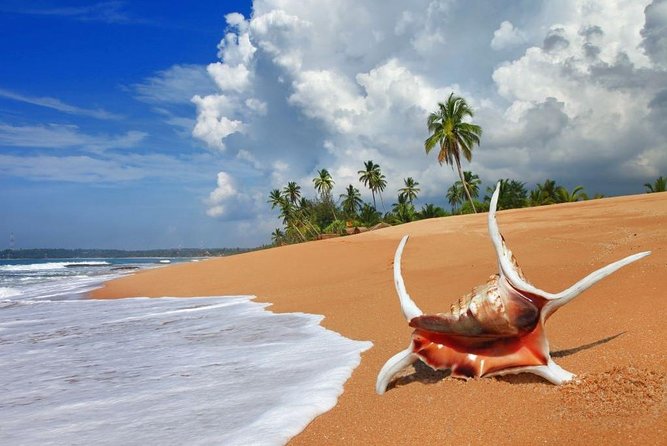 Sri Lanka tour itinerary . 6N/7D with driver, vehicle and H/B accommodations - Day 7: Mirissa Beach wind-down, snorkelling gear included, and return toward Colombo Airport