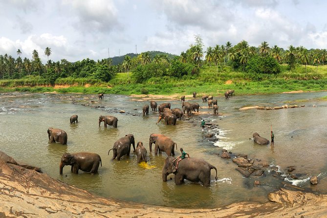 Sri Lanka Tour Package in 05 Nights 06 Days - Day 6 Colombo city culture, independence square shopping, and Gangaramaya temple