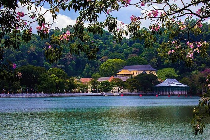 Sri Lanka Tour Packages with English Speaking Driver Guide and Car - Day 4 Dambulla caves, Kandy’s Temple of the Tooth, and a Kandyan cultural night