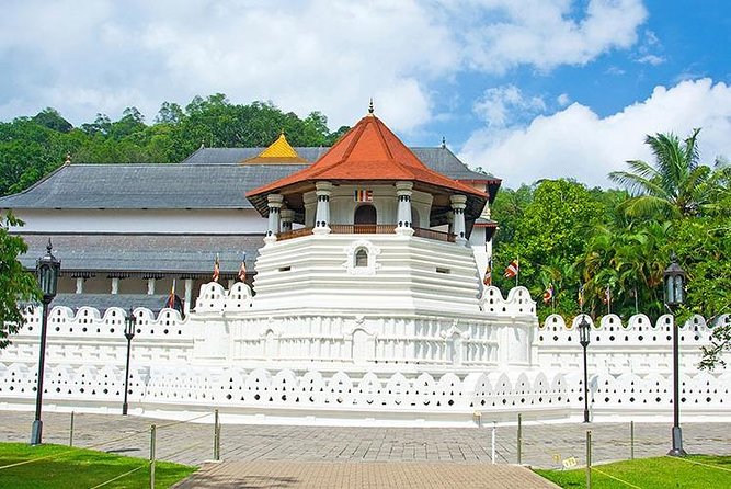 Sri Lanka Tour Packages with English Speaking Driver Guide and Car - Day 5 Peradeniya Royal Botanical Gardens: orchids, spices, and 4,000+ plant types