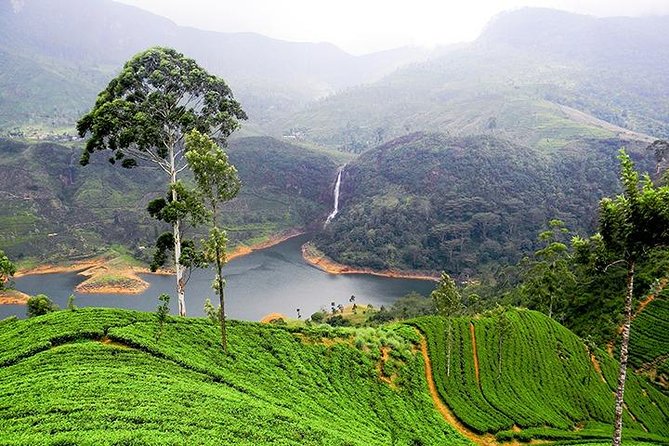 Sri Lanka Tour Packages with English Speaking Driver Guide and Car - Day 1 Negombo: beach-town arrival and a low-stress start