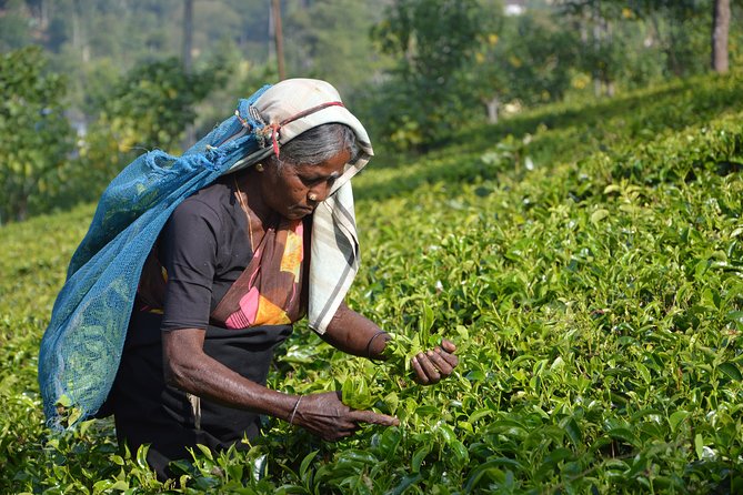 Sri Lanka Tour - Perfect Sri Lanka Itinerary 5 Days - Why this Colombo to interior plan feels doable