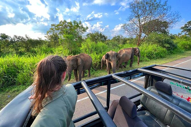 Sri Lanka Travel in 08 Nights 09 Days - Price and What You Actually Get for $958 Per Person