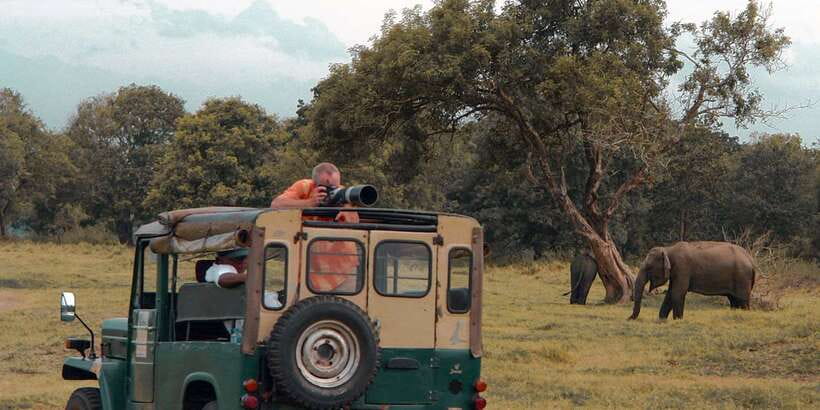 Sri Lanka: Yala National Park Private Safari - Birds are part of the plan, not an afterthought