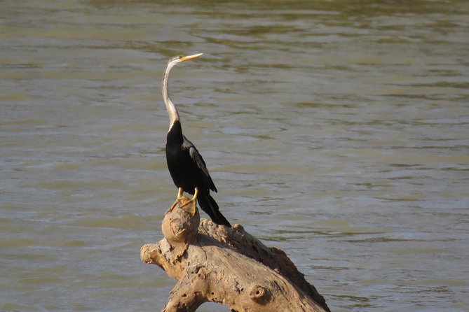 Super Luxury Jeep Safari at Yala National Park - Pickup, where it matters, and avoiding time sink stress