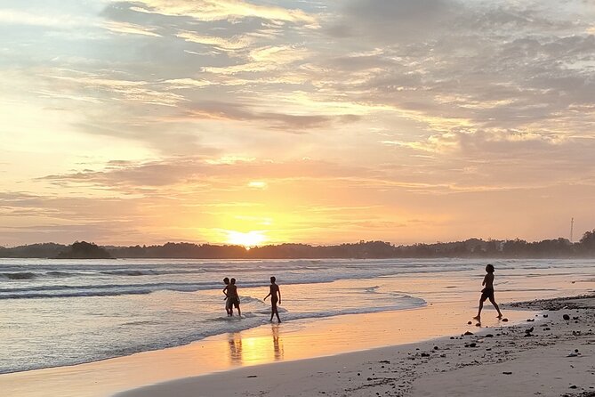Surf Camp in Weligama Beach Sri Lanka - Instructor-led improvement: when coaching explains why