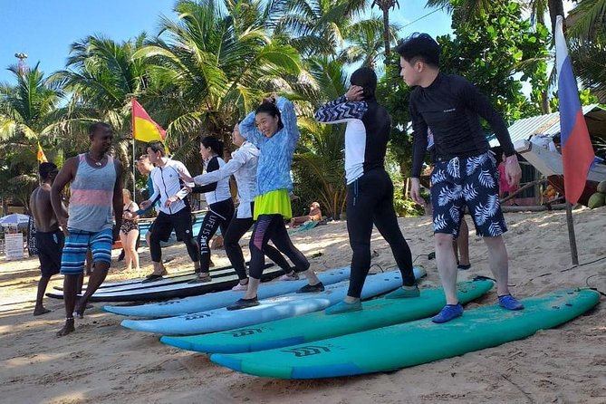 Surfing Lessons - Surf Levels Welcome: How the Lesson Likely Adjusts for You