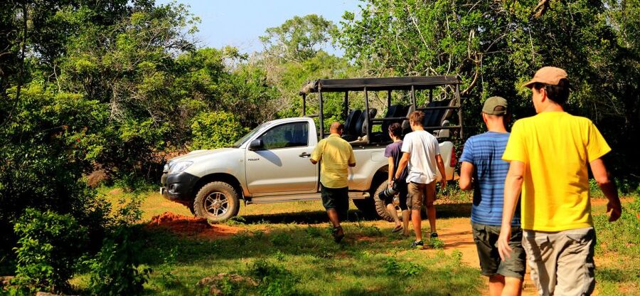 Tangalle/Hiriketiya: Udawalawa Safari & Elephant Transit Hom - Price and what you truly get for about $62