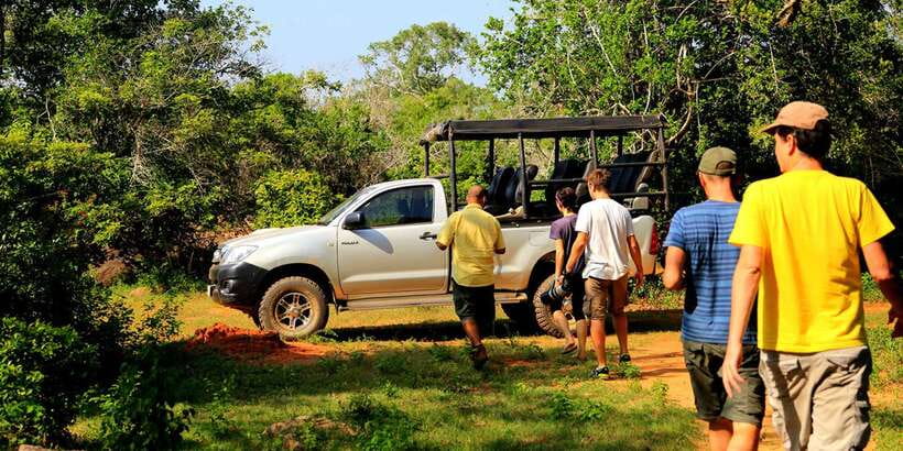 Tangalle/Hiriketiya: Udawalawa Safari & Elephant Transit Hom - The Udawalawe sanctuary story, and what it means for your safari