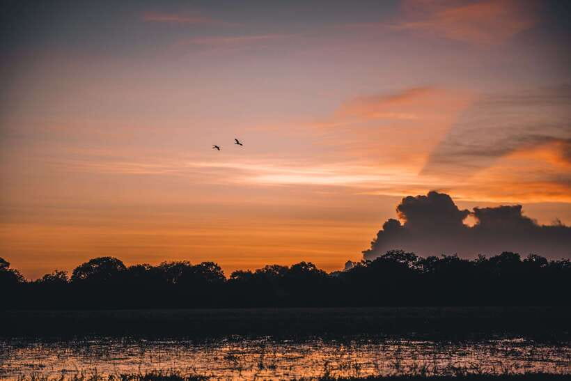 Tangalle/Hiriketiya: Yala National Park Safari in a 4x4 - Yala by 4x4: why this safari works from Tangalle and Hiriketiya