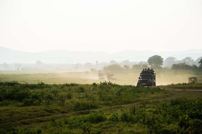 Tangalle/Hiriketiya: Yala National Park Safari in a 4x4 - Entrance fees and cash rules: the part that changes your total cost