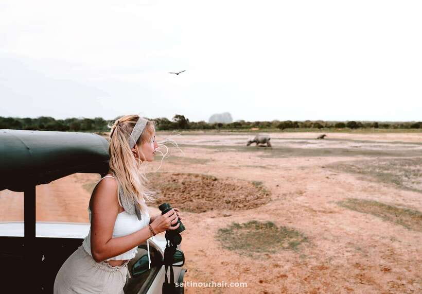 Tangalle/Hiriketiya: Yala National Park Safari in a 4x4 - Price and value: is $41 worth it for Yala wildlife?
