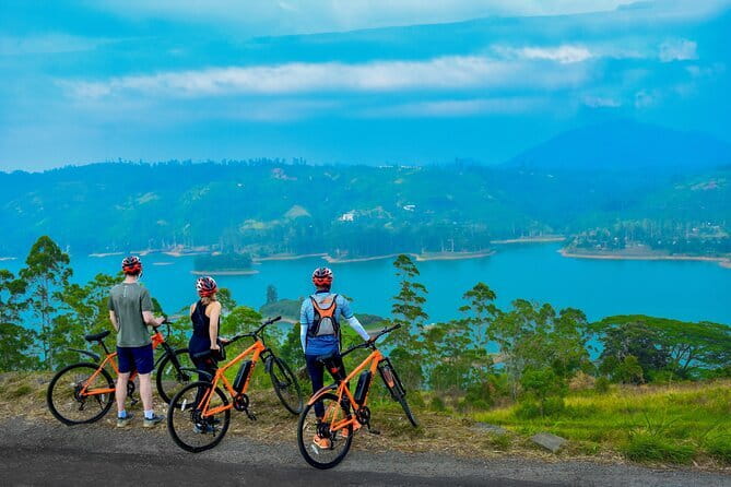 Tea Loops E-Biking - Key Highlights You’ll Actually Care About