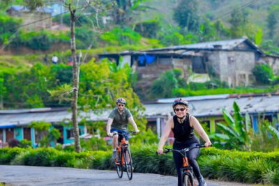 Tea Loops E-Biking