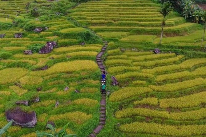 Tea Loops E-Biking - Guide Quality: Sri, Lishaa, and Nandhu as the Human Factor