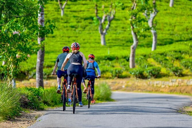 Tea Loops E-Biking - Price and Value: Is $45 Reasonable Here?