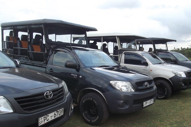 The Best Safari tour from Hambantota Port (Janaka safari) - Quick highlights