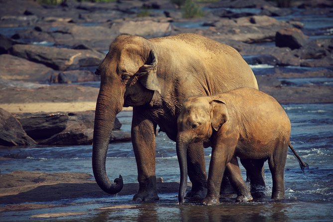 The Most popular Personalized round Tour In Sri Lanka-Day Charged - Day 4: Ella Town, Rawana Falls, Little Adam’s Peak, Nine Arches Bridge