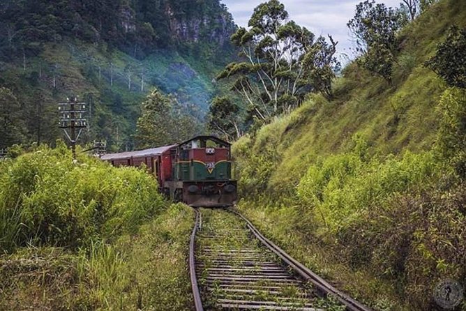 The Most Recommended Round Tour in Sri Lanka - Day 6: Nine Arches Bridge and Little Adam’s Peak Views