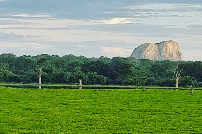 Tours and Transportation in Sri Lanka - How Good This Fits Families, Couples, and First-Time Sri Lanka Visitors