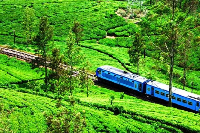 Train Tickets from Nanuoya (NuwaraEliya) to Ella - Key things to know before you ride