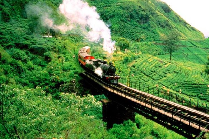 Train Tickets from Nanuoya (NuwaraEliya) to Ella - Tickets, seat reservation, and how to avoid last-minute stress
