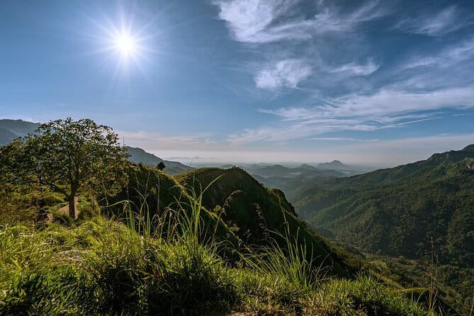 Trek to Little Adam's Peak and Nine Arches Bridge In Ella - Nine Arches Bridge: A 30.5-Meter-High Rail Viaduct on Foot