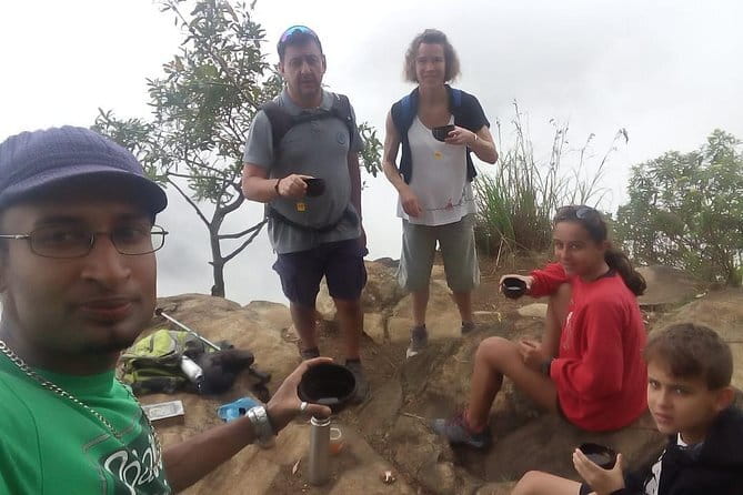 Trek to Little Adam's Peak and Nine Arches Bridge In Ella - Little Adam’s Peak Viewpoint: Tea Plantations and Real Morning Views