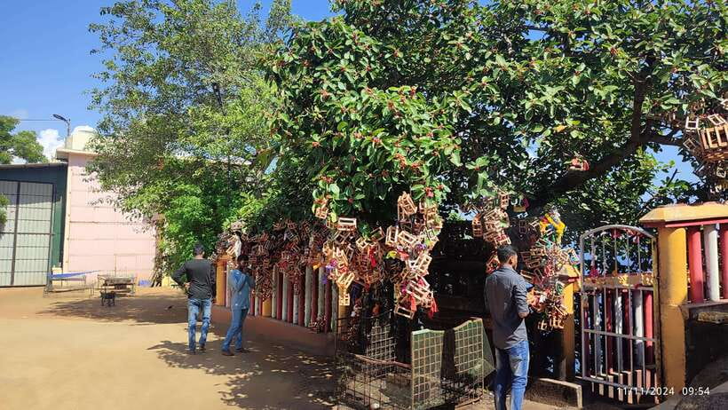 Trincomalee: City Tour with Koneswarm and Crocodile lake - Local Market and Patrakali Temple: Seeing Daily Life Beyond the Shores