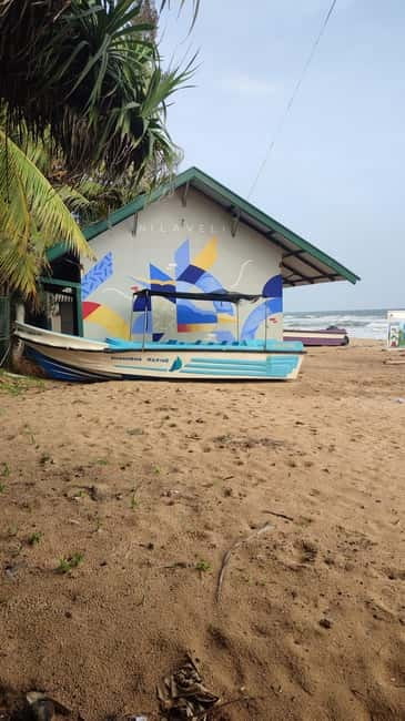 Trincomalee: Dolphin & Whale Watching Boat Tour - Where Nilaveli and Trincomalee make this a smart dolphin and whale trip
