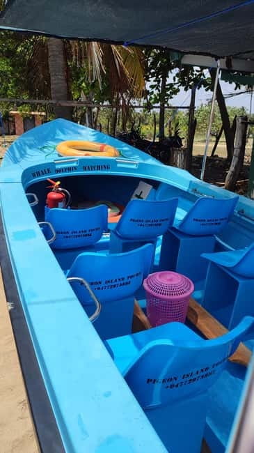Trincomalee: Dolphin & Whale Watching Boat Tour - The boat, safety gear, and staying comfortable for a 2-hour ride