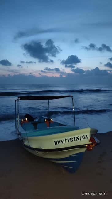 Trincomalee: Dolphin & Whale Watching Boat Tour - What you are looking for: dolphins first, whales if luck and timing align