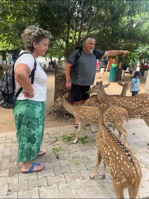 Trincomalee: Tuk-Tuk city tour with a guide - Tuk-tuk around Trincomalee, and why 5 hours works
