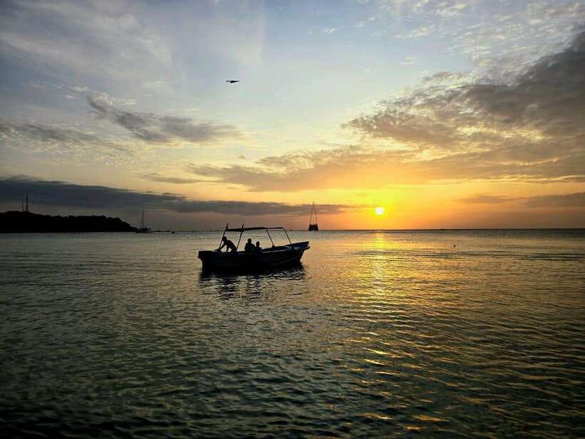 Trincomalee : Whale & dolphin watching +pigeon island tour - Trincomalee Whale and Dolphin Trip, Plus Pigeon Island Snorkel